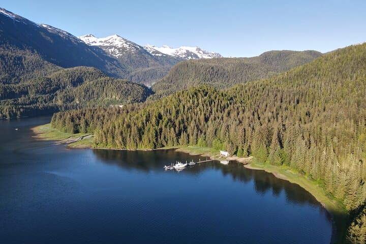 Explore Alaska's Wild Heart: Bears, Fjords, and Frontier Life at Silver Bay photo 4