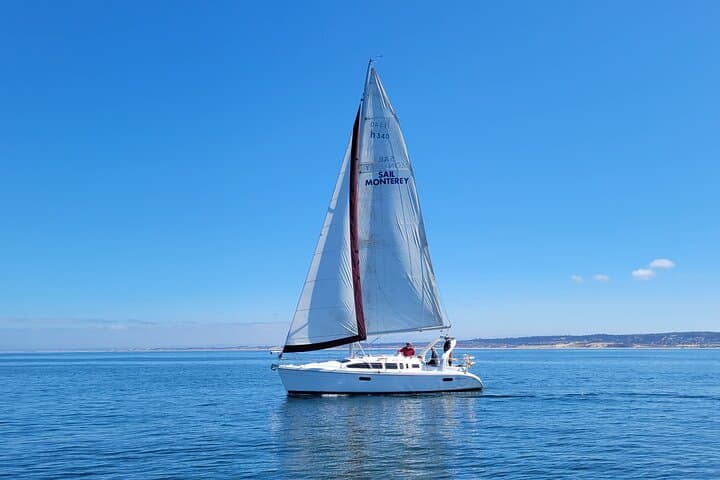 Monterey Whale Watching Cruise: A Private Marine Safari on the Pacific photo 3