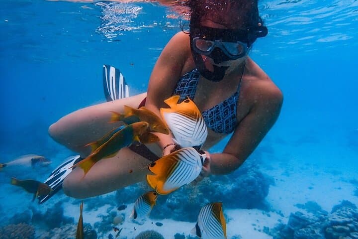 Private Rarotonga Turtle Snorkel Tour — Swim with Turtles in the Lagoon photo 2
