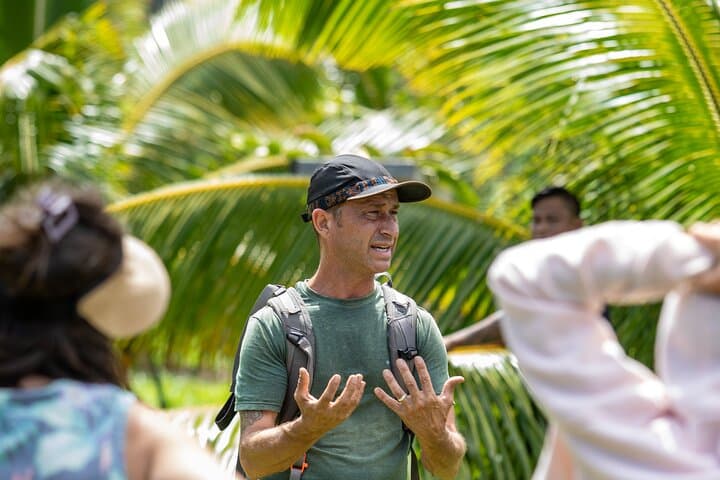 Maui Macnut & Bees Farm Tour: Solar Farm Walk, Tasting & Picnic Lunch photo 5