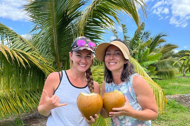 Maui Macnut & Bees Farm Tour: Solar Farm Walk, Tasting & Picnic Lunch