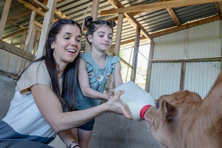 Finca El Paraiso: Hands-On Farm Cheese Tour Near Monteverde
