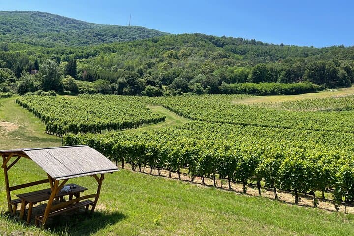 Tokaj Two-Day Luxury Wellness, Wine Tasting & Bodrog Boat Trip photo 2