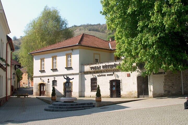 Tokaj Two-Day Luxury Wellness, Wine Tasting & Bodrog Boat Trip photo 3