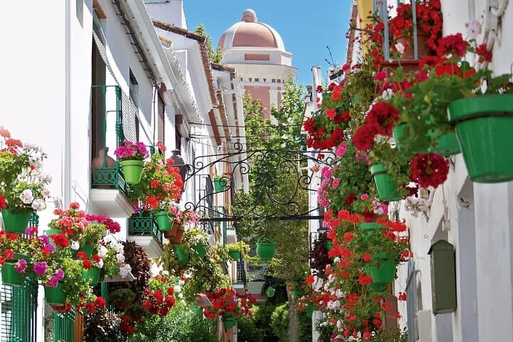 Explore Estepona by Bike: 2-Hour Guided Ride Through Old Town & Seafront photo 3