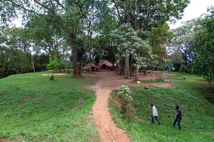 Walking with Kings: Full-Day Buganda Traditions, Kasubi Tombs & Kabaka's Lake Tour photo 2