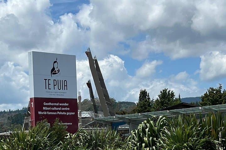 Auckland to Rotorua Day Trip: Te Puia Geothermal & Redwood Park Transport