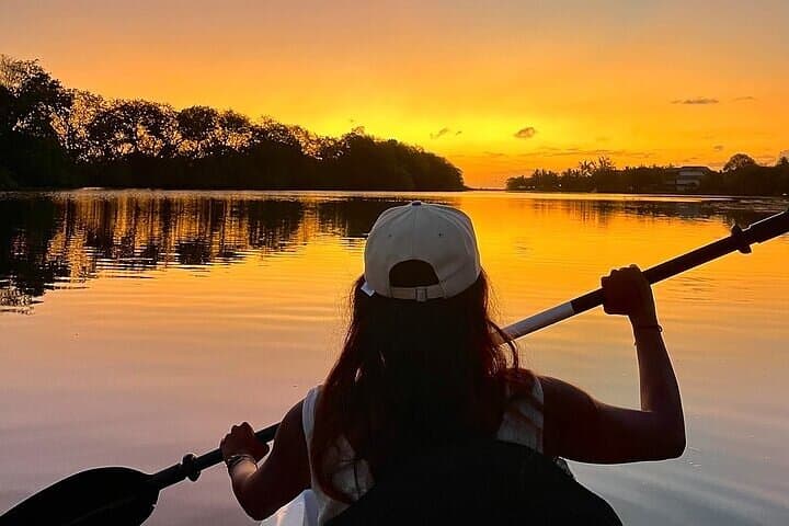 Sunset Kayak on the Tamarin River — 90-Min Guided Tour in Mauritius