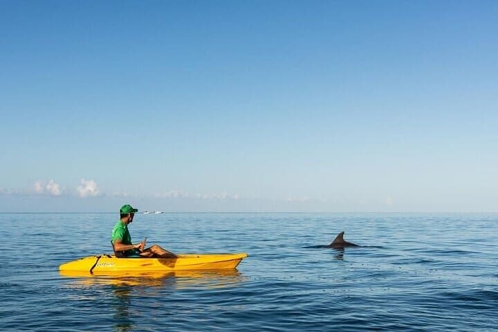 Sunrise Kayak with Dolphins in Tamarin Bay — 2-Hour Guided Eco-Encounter photo 2