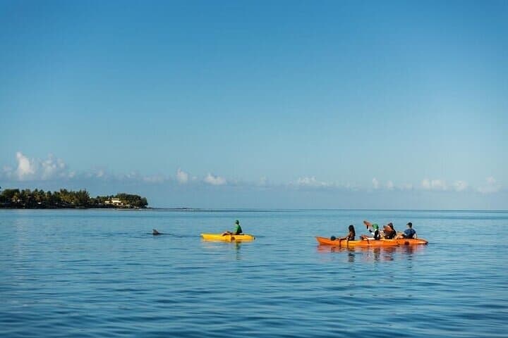 Sunrise Kayak with Dolphins in Tamarin Bay — 2-Hour Guided Eco-Encounter photo 3