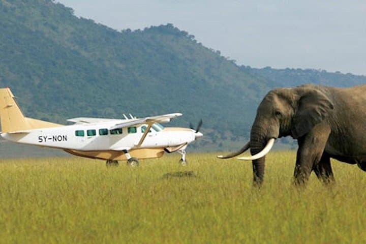 Kenya 9-Day High-End Wildlife Safari: Amboseli, Samburu & Maasai Mara photo 2