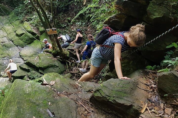 Bach Ma National Park Day Trek from Da Nang: Summit, Waterfalls & Five Lakes photo 4
