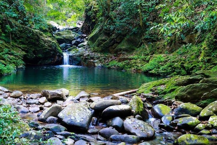 Bach Ma National Park Day Trek from Da Nang: Summit, Waterfalls & Five Lakes photo 6