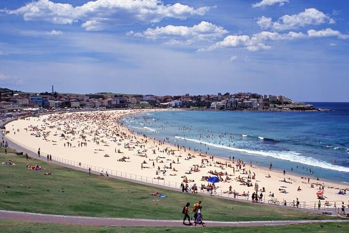 Half-Day Sydney Shore Excursion — Bondi Beach, Watsons Bay & City Highlights photo 4