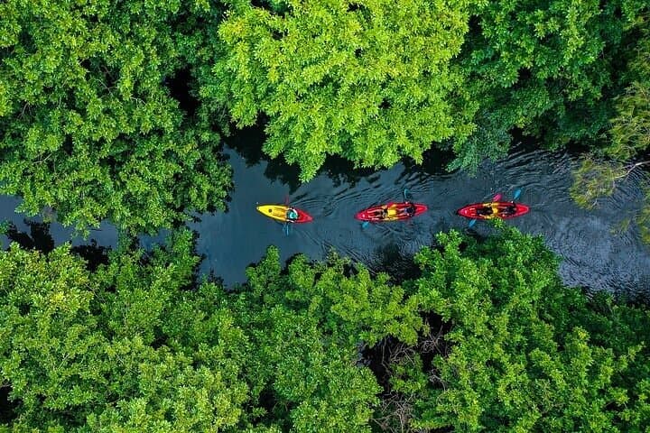 Afternoon Kayak on the Tamarin River: Paddle Between Mountains and Mangroves