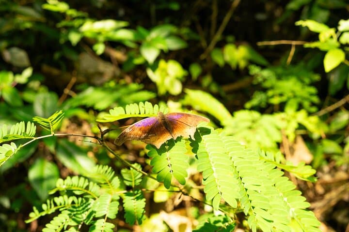 Full-Day Trek in Cat Ba National Park: Frog Lake, Viet Hai & Lan Ha Bay photo 6