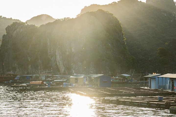 Lan Ha Bay Day Cruise: Kayak Dark Cave & Swim Ba Trai Dao from Cat Ba photo 4