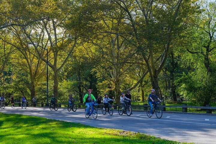 Manhattan Walking Tour and Cycle Central Park — Wall Street to the Plaza in One Day