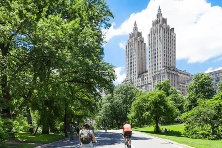 Manhattan Walking Tour and Cycle Central Park — Wall Street to the Plaza in One Day photo 3