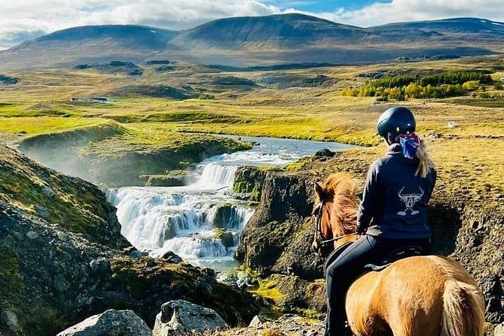 Short Icelandic Horse Ride to Reykjafoss Waterfall — Photos & Views photo 1