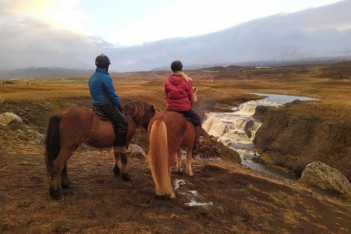 Short Icelandic Horse Ride to Reykjafoss Waterfall — Photos & Views photo 4