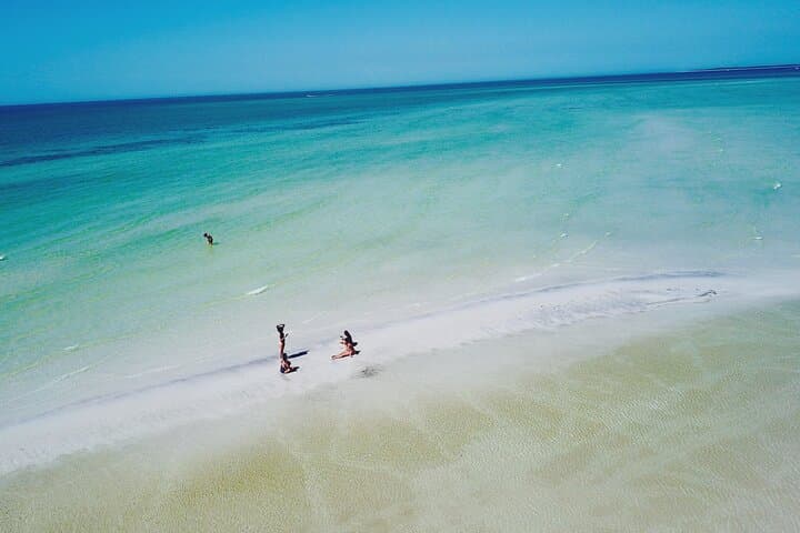 Exploring Clearwater Beach: Private Pontoon Adventures to Hidden Gulf Coast Islands photo 4