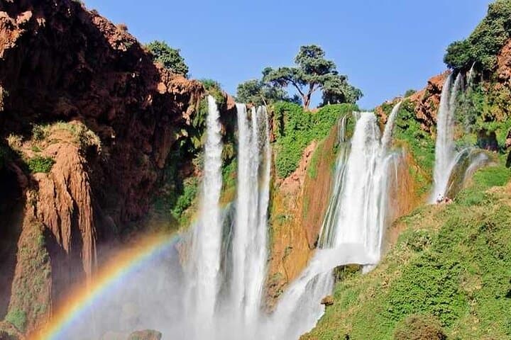 Ouzoud Waterfalls Day Trip from Marrakech: Olive-Grove Cascades & Barbary Monkeys