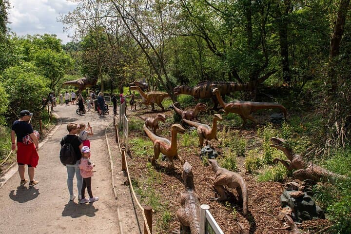 Dinosaurus Amusement Park Prague: Life-Size Animatronic Dino Experience photo 4
