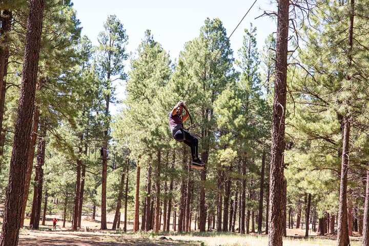 Flagstaff Aerial Adventure: Fort Tuthill Ropes Course for Adults photo 4