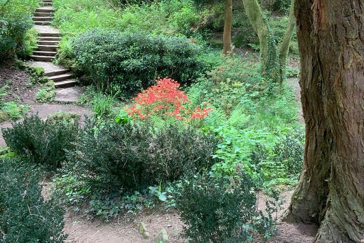 Ridgeway Views: Private Hike from Parc Cefn Onn to Cardiff Vistas photo 5