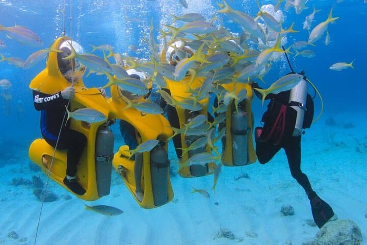 Scubadoo Punta Cana: Underwater Scooter & Glass-Bottom Boat at Cabeza de Toro photo 3