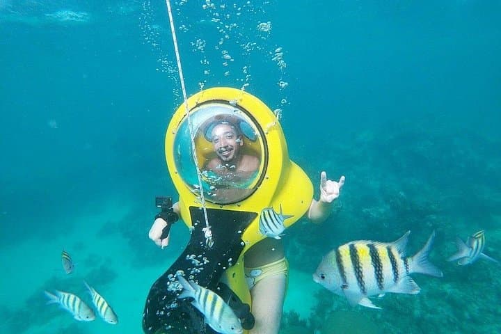 Scubadoo Punta Cana: Underwater Scooter & Glass-Bottom Boat at Cabeza de Toro photo 4