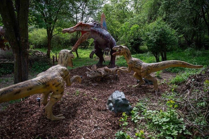 Dinosaurus Amusement Park Prague: Life-Size Animatronic Dino Experience photo 3