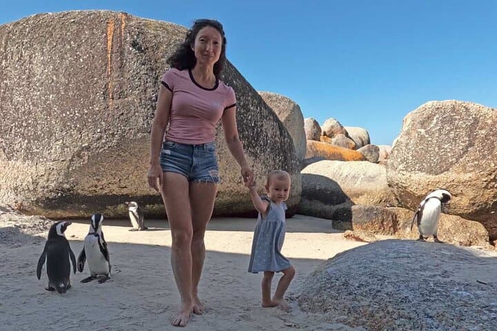 Best of the Cape: Full-Day Private Tour to Table Mountain, Cape Point & Stellenbosch photo 5