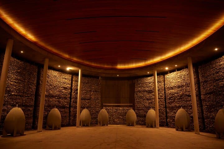 Matetic Vineyard Escape: 2-Day Luxury Wine Stay & Tasting in Rosario Valley photo 4