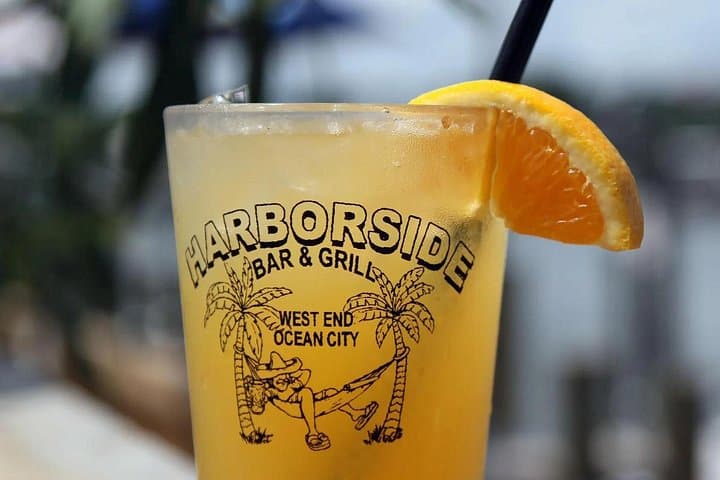 Harborside Orange Crush Cruise: Assateague Bay Wildlife & Scenic Lunch Cruise photo 1