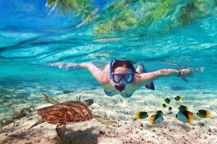 Tulum Ruins & Akumal Turtles Express: Snorkel Ancient Caribbean Shores
