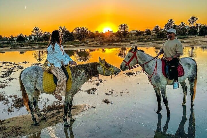Sunset Horse & Camel Ride on Djerba Beach — 1-Hour Coastal Stroll