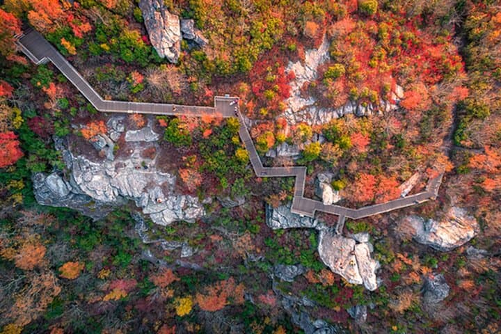 Explore Blue Ridge Parkway Asheville: Ultimate Self-Guided Audio Driving Tour photo 6