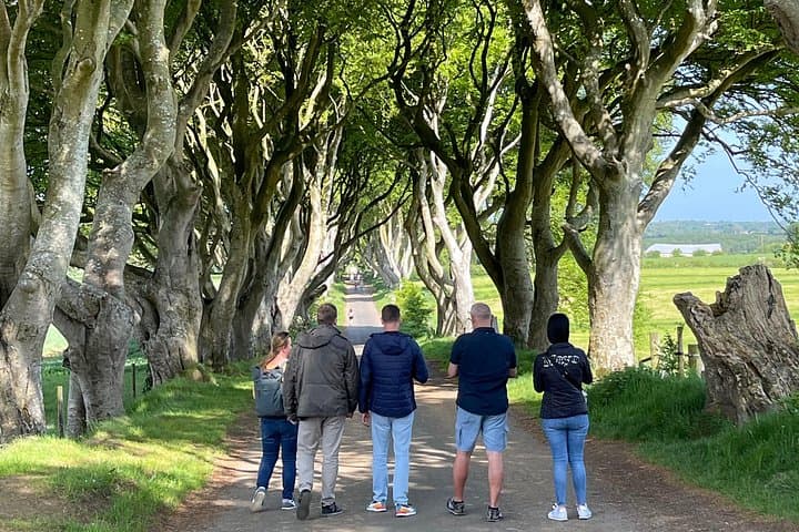 Luxury Day Tour to Giant's Causeway, Dark Hedges & Carrick-a-Rede from Belfast photo 2