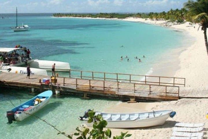 Saona Island Catamaran Cruise from Punta Cana: Natural Pool, Snorkel & Lunch photo 4