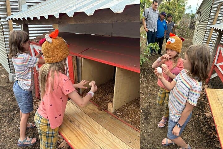 Antigua Organic Farm Tour — Coffee, Avocados & Honey Experience photo 4