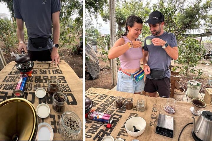 Antigua Organic Farm Tour — Coffee, Avocados & Honey Experience photo 1