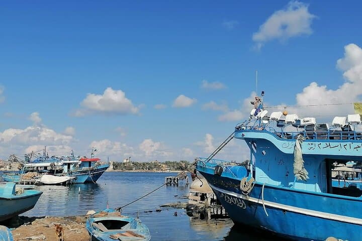 Alexandria Day Tour from Cairo: Library, Catacombs & Qaitbay with Lunch photo 5