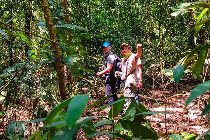 One-Day Corcovado National Park Wildlife Adventure from Sierpe photo 3