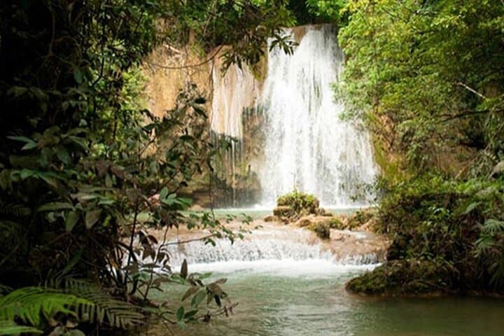 Samana Full-Day Adventure from Punta Cana: Catamaran, Salto El Limón, Cayo Levantado & Whale Watching photo 6