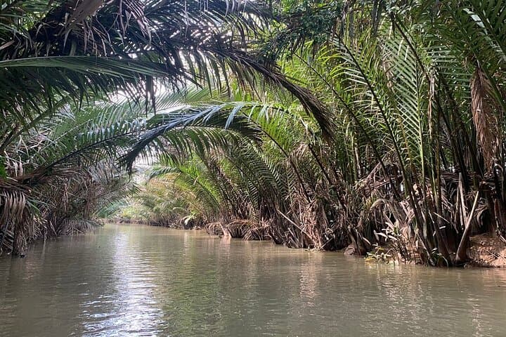 Private Cu Chi and Mekong Delta Discovery Tour from Ho Chi Minh City photo 5