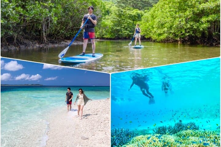 Iriomote Island Mangrove SUP, Canoe & Snorkel Day Tour from Ishigaki