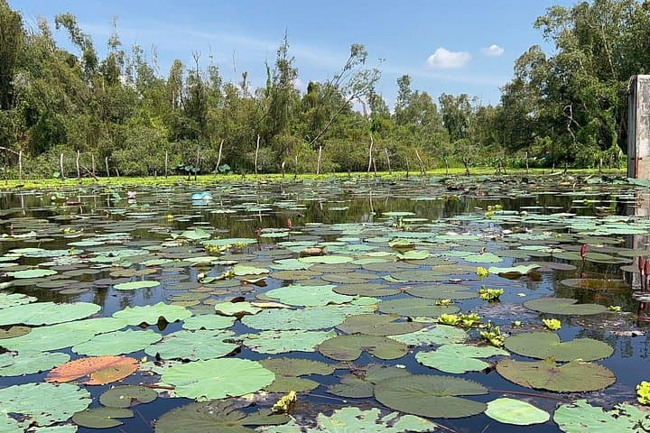 Tan Lap Floating Village: Mekong Delta Melaleuca Forest & Boat Tour (No Shopping) photo 2