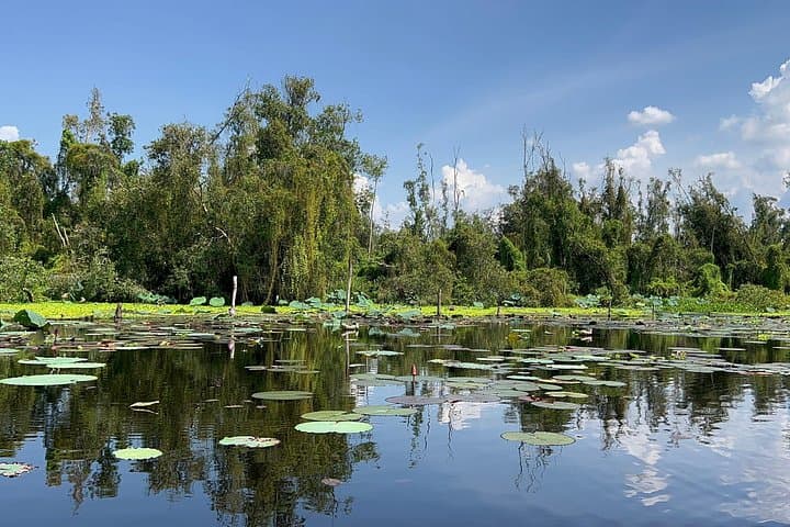 Tan Lap Floating Village: Mekong Delta Melaleuca Forest & Boat Tour (No Shopping) photo 3